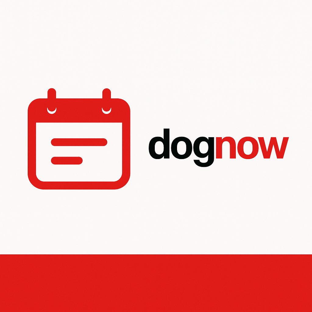 en.dognow.at